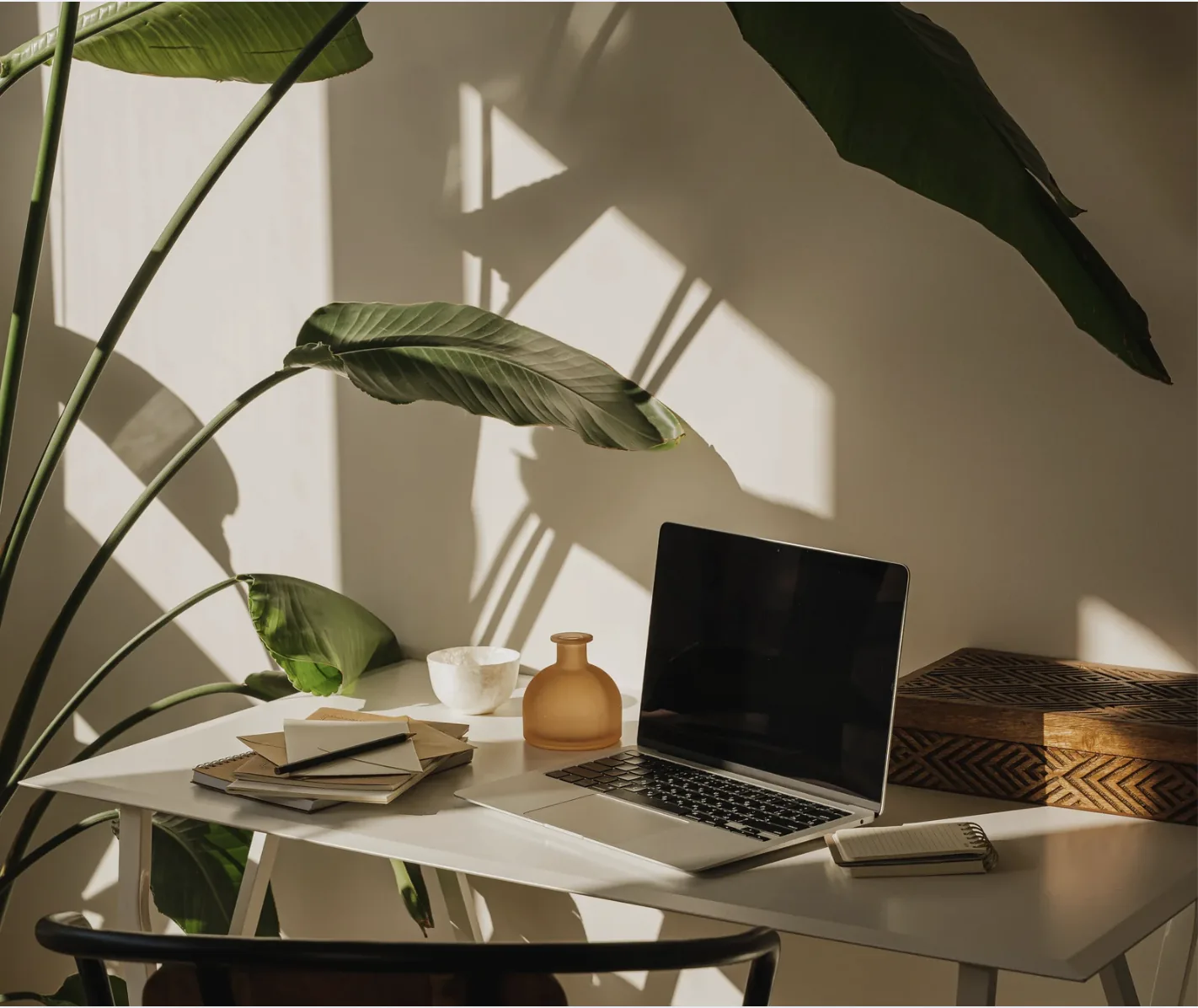 Laptop on a sunlit desk surrounded by indoor plants